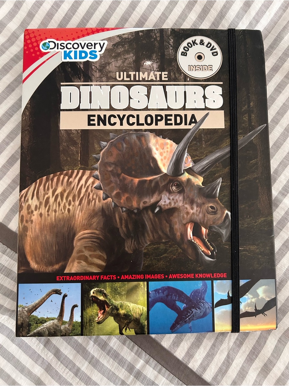 Discovery kids ultimate dinosaurs encyclopedia book & DVD